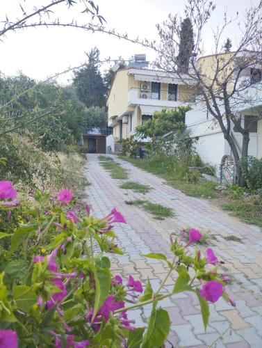 Κήπος έξω από το Villa Panthéon