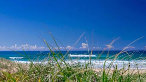 a beach with grass and the ocean in the background at 2-Bed Coastal Haven with Pool by Sunshine Beach in Sunshine Beach