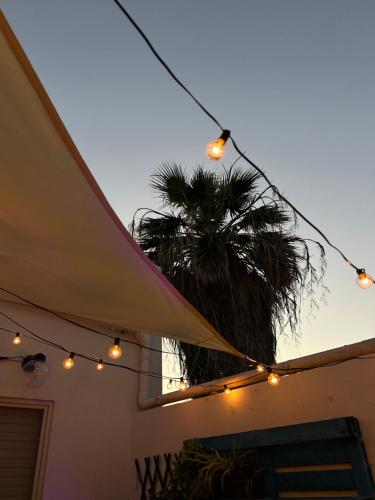 a palm tree sitting next to a building with lights at Blu Marlin in SantʼAntìoco