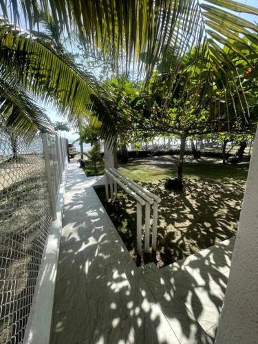 a palm tree sitting next to a fence at Costa Azul, Necoclí in Necoclí