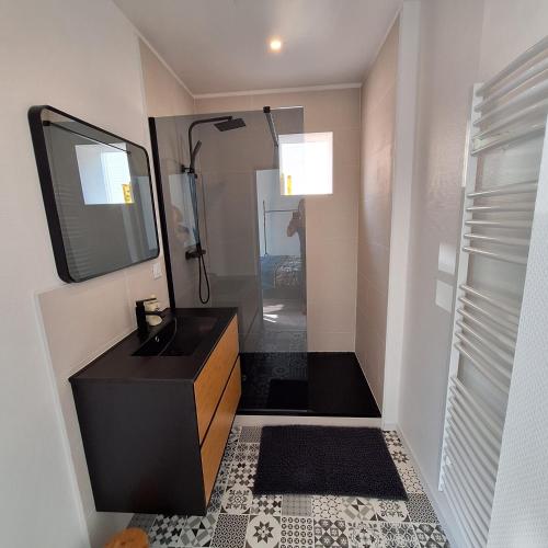 bagno con lavandino nero e specchio di Appartement RDC centre ville - Local vélos disponible a Mayenne