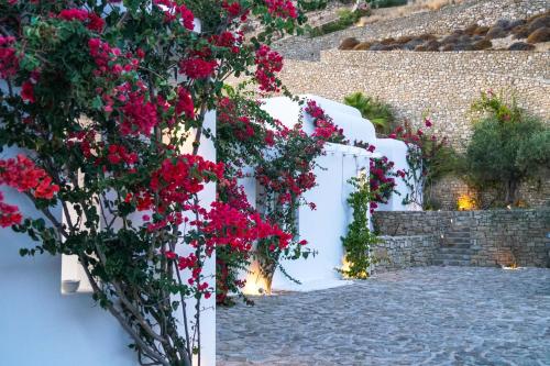 a row of white fences with red flowers on them at Sotavento Villa in Fanari