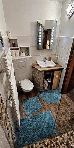 a bathroom with a sink and a toilet and a mirror at Ferienhaus WYSS in Wolfach