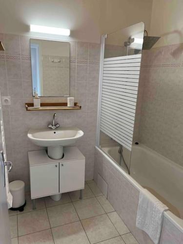 une salle de bain avec un lavabo, un miroir et une douche dans l'établissement Charmante Maison de Plage, à Bretignolles-sur-Mer