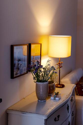 a table with a lamp and a plant on it at Zur Suítes in Campos do Jordão