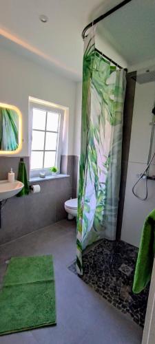 a bathroom with a shower with a green at Alte Dorfschule im Recknitztal in Selpin