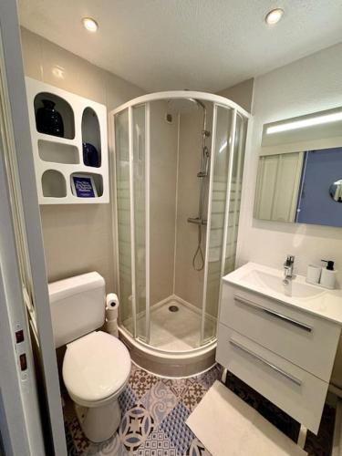 une salle de bain avec une douche, des toilettes et un lavabo dans l'établissement Studio MILOS cosy hypercentre historique Thonon, à Thonon-les-Bains