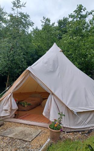a white tent with a bed in the grass at Little Wood bell tent in Killeagh