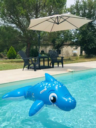 un requin bleu flotte dans une piscine avec un parapluie dans l'établissement Ranch du Roc, à Monteils