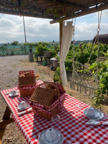 Naturlandskabet i nærheden af den private indkvartering