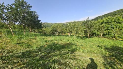 a shadow of a person standing in a field at Seosko domaćinstvo Preslo in Berane