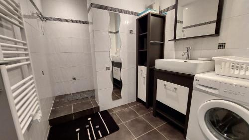 une salle de bain avec un lavabo et une machine à laver dans l'établissement Gîte Les écureuils, à Goûts-Rossignols