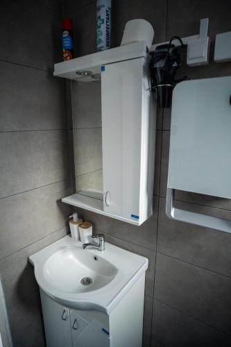 a bathroom with a sink and a white cabinet at Seosko turističko domaćinstvo Tisa i Begej in Kni°anin