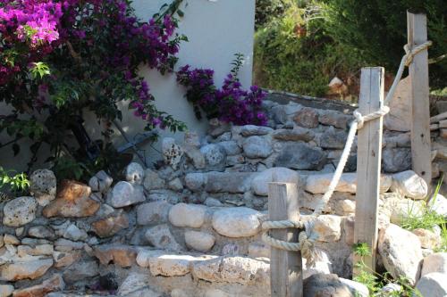 a stone wall with purple flowers and a fence at Captain's View in Dobra Voda