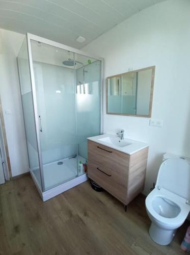 une salle de bain avec une douche, des toilettes et un lavabo dans l'établissement Maison chaleureuse et familiale idealement situee, à Groix