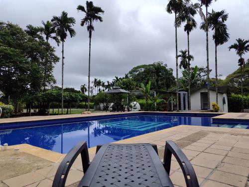 a swimming pool with palm trees in the background at Tierra Linda Campestre in Guamal