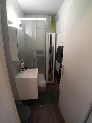 une salle de bain avec un lavabo blanc et une douche dans l'établissement LE SPOT Studio'Hotel 