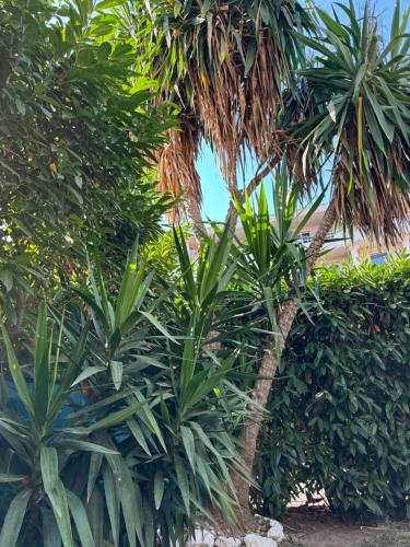 Beachside Apartment with Pool & Garden in Juan les Pins