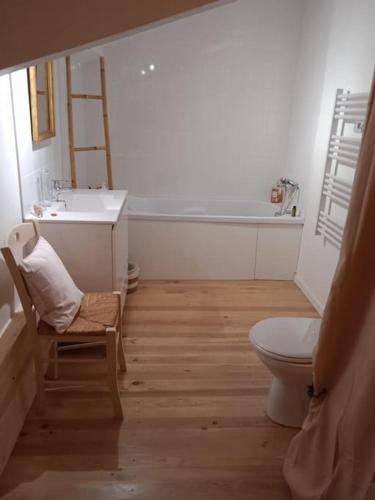 une salle de bain avec toilettes et lavabo dans l'établissement Chambres chez l'habitant Maison Campagne, à Castelnau-sur-Gupie