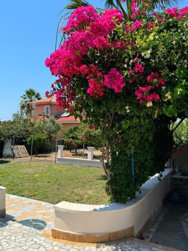 a bush of pink flowers in a park at Nereid Bungalow in Phanaes