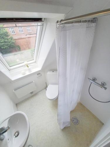 a bathroom with a toilet and a sink and a window at Cozy 1 bedroom apartment B in Hjørring