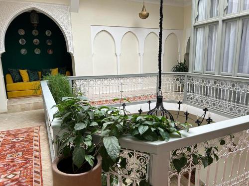 Fotografie z fotogalerie ubytování Riad Kamilyes v Marrákéši