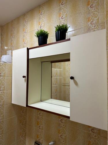 a bathroom with a mirror and potted plants on a wall at Viva a bela Copacabana! in Rio de Janeiro
