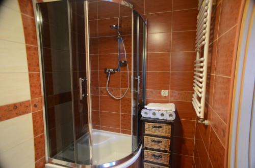 シュチェチンにあるアパルタメント クラシックのバスルーム(ガラスドア付きのシャワー付)