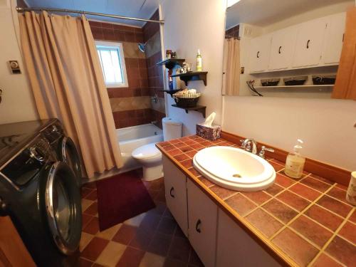 a bathroom with a sink and a washing machine at Maison au Pied du Mont Video in Barraute