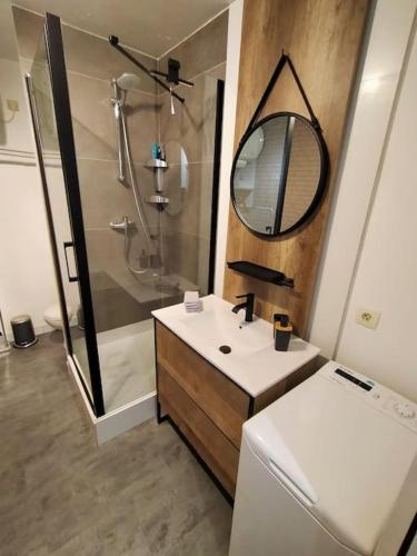 une salle de bain avec un lavabo et une douche avec un miroir dans l'établissement Denier étage avec Parking, à La Garenne-Colombes