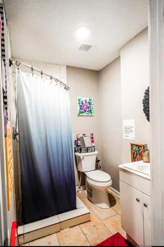 a bathroom with a shower curtain and a toilet at Hilltop Hideaway 2 in Atlanta