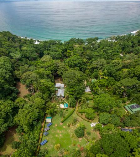 an aerial view of a forest with the ocean at Surfsidelodge in Cabo Matapalo