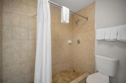a bathroom with a shower with a toilet and a shower curtain at Motel 6 San Antonio, TX I-35 North Corridor in San Antonio