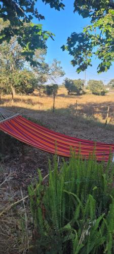 una panchina rossa in un campo con un ombrello di Monte das Romas a Charnequinha