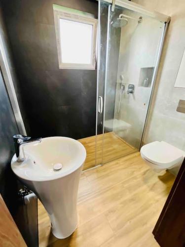 a bathroom with a toilet and a sink and a shower at Butter Chill House - Dom na Kaszubach in Masłowo