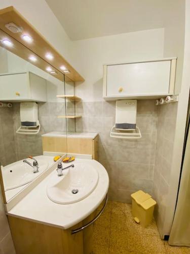 une salle de bain avec un lavabo et un miroir dans l'établissement Grand appartement proche du Port, à Saint-Cyprien