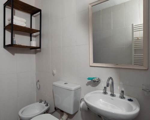 a bathroom with a toilet and a sink and a mirror at Patagonia Hope Suites in El Calafate