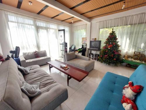 GuamoにあるCasa en condominio Guamo Tolimaのリビングルーム(クリスマスツリー付)