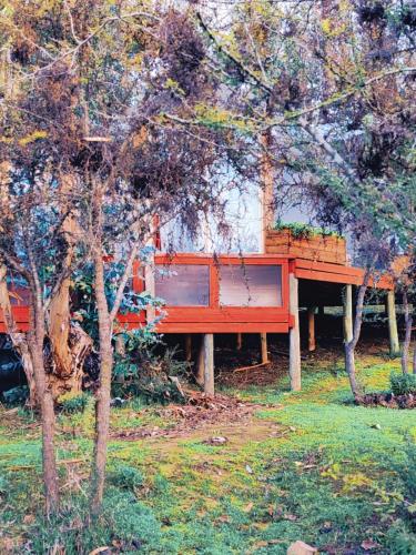 a red piano sitting in the middle of trees at Domos la Resiliencia in Casablanca