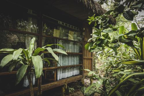 a wooden cabinet with plants in front of it at Kapievi Ecovillage in Puerto Maldonado