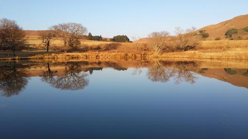 a view of a lake with trees and hills in the background at Elandskloof Trout Farm in Dullstroom