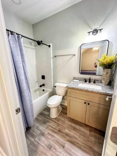a bathroom with a toilet and a sink and a mirror at Seabrook Coastal Cottage - Beaufort Parris Island in Seabrook