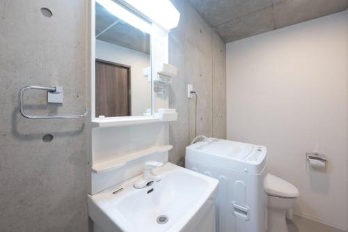 a bathroom with a sink and a toilet and a mirror at Ferio Kamata II in Tokyo