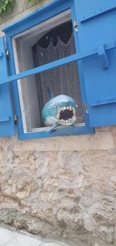 a shark head sticking out of a blue window at Apartman GREEN & BLUE in Novalja