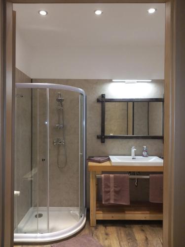 ein Badezimmer mit Dusche und Waschbecken in der Unterkunft Pension Steigerhof Johanngeorgenstadt in Johanngeorgenstadt