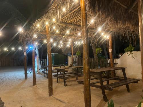 a group of tables under a straw roof with lights at La Diosa Kali Beach Front Hotel in Holbox Island