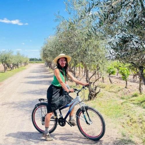 Ποδηλασία στο Cómoda casa en Maipú Mendoza ή στη γύρω περιοχή