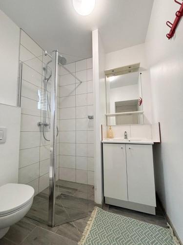 une salle de bain avec une douche, un lavabo et des toilettes dans l'établissement Maison à la campagne pour 7 pers, wifi et parking, à Aube-sur-Rîle