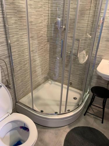 a bathroom with a shower and a toilet at L&G ROOMS in Ljubljana