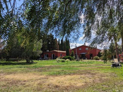 a dog sitting in a field in front of a house at Le Mas Del Cavalier in Baho